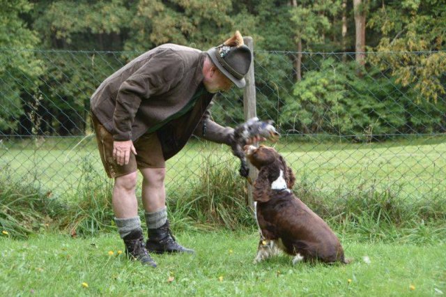 Hundepräsentation 2020